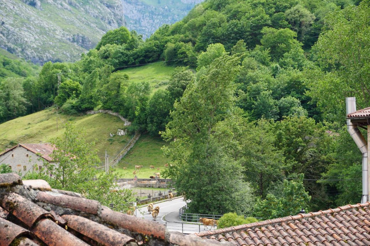 Apartahotel Montecaoru Arenas De Cabrales Luaran gambar